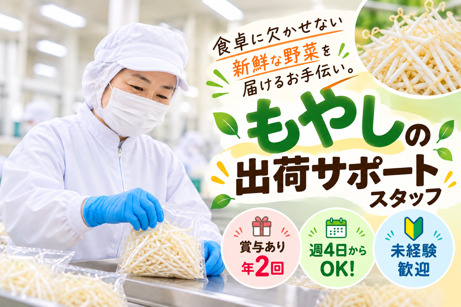もやしの出荷サポートスタッフ